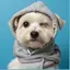 airiのプロフィール画像