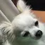 陽菜のプロフィール画像