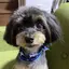 そらひなのプロフィール画像