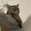 みのプロフィール画像