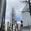 nanamiのプロフィール画像