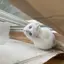 Mihoのプロフィール画像