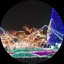 ハチのプロフィール画像
