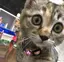 yuuのプロフィール画像