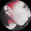 梢のプロフィール画像