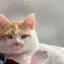 亜由実のプロフィール画像