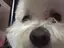 まなみのプロフィール画像