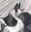 hanaのプロフィール画像