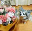 かなのプロフィール画像