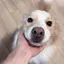 ユイのプロフィール画像