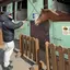 しおこーじのプロフィール画像