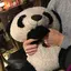 ぽんのプロフィール画像