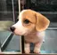 HYのプロフィール画像