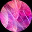 けいこのプロフィール画像
