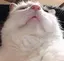 ももものプロフィール画像