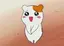 サキのプロフィール画像