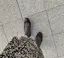 rikoのプロフィール画像