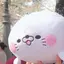 みゃあのプロフィール画像
