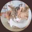 あーちゃんのプロフィール画像