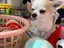 すーじーのプロフィール画像