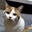 えっちゃんのプロフィール画像