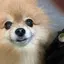 ふーかのプロフィール画像