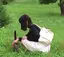 あゆのプロフィール画像