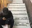 Nori14のプロフィール画像