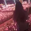 Minachunのプロフィール画像