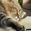 まーちゃんのプロフィール画像