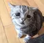 あやなのプロフィール画像