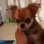 ゆかりのプロフィール画像
