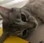 hrnのプロフィール画像