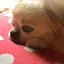 えりこのプロフィール画像