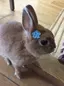 caoriのプロフィール画像