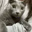 優子のプロフィール画像