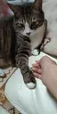 みゆきのプロフィール画像
