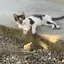 ひなかのプロフィール画像