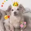 ベックのプロフィール画像