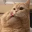 はなのプロフィール画像
