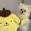 さにのプロフィール画像
