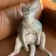 真理子のプロフィール画像