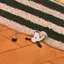 蜜のプロフィール画像
