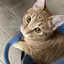 ヤのプロフィール画像