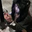 honoのプロフィール画像