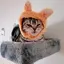 ゆかりのプロフィール画像