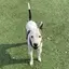 mmtksのプロフィール画像
