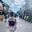 Ririkaのプロフィール画像