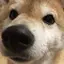 ひまりのプロフィール画像