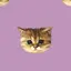 真穂のプロフィール画像